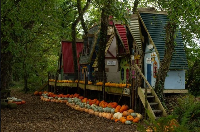 Ballycross Apple Farm in October